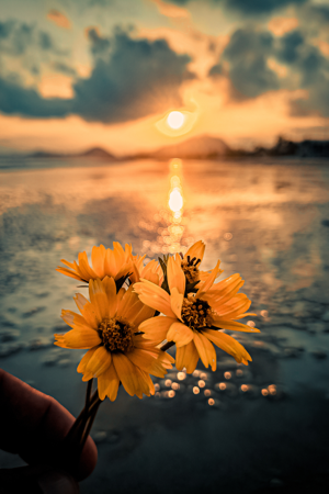 aestheticone_07 logo