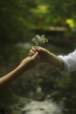 • Main Lead Introduction