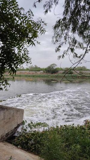 Sambhavi Upadhyay logo