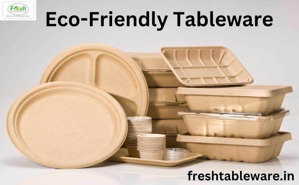 Practical Impact of Biodegradable Tableware on Nature
