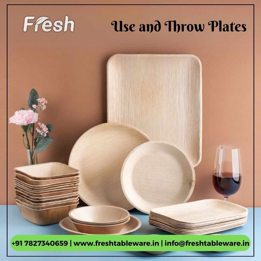 6 Reasons Why Eco-Friendly Use-and-Throw Plates Are Money-Saving