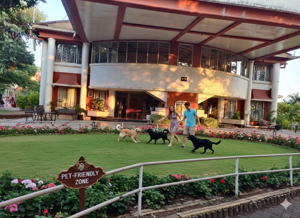 Travel with Your Furry Friend: Pet-Friendly Resorts in Mahabaleshwar