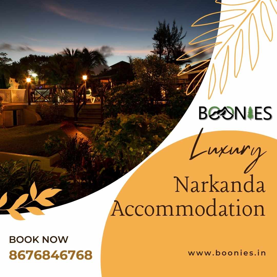 Unwind in Nature’s Lap: Boonies’ Narkanda Accommodation
