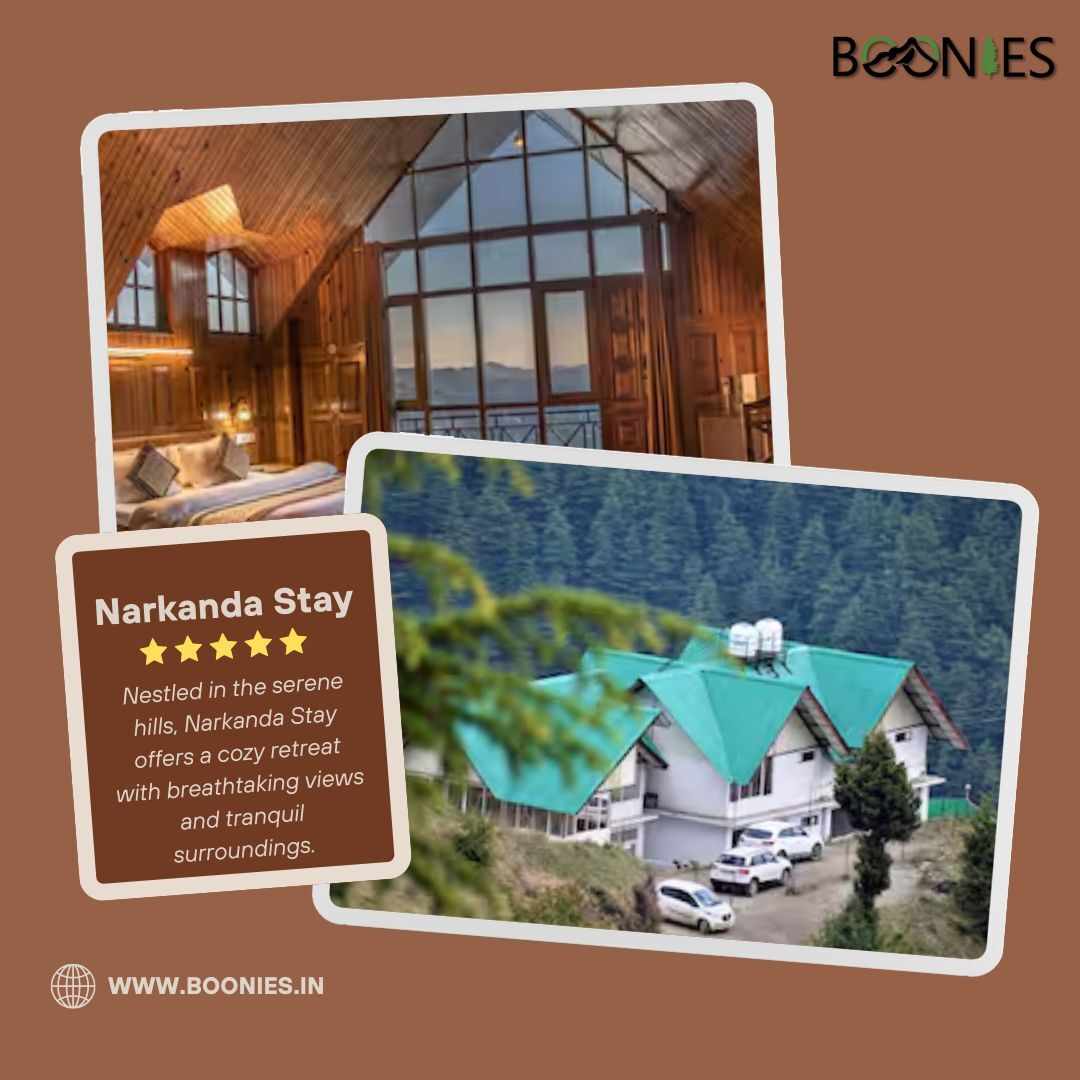 Curious About the Best Narkanda Stay Options for Your Next Trip?