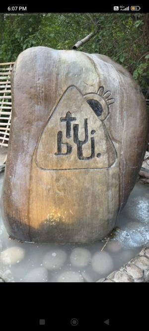 wahhbetee logo