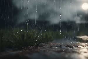 The First Rain