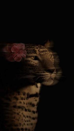 || Side Character's||