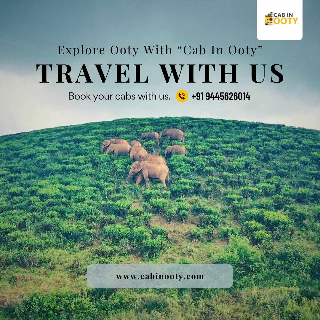 Taxi and Cab Services in Ooty – Comfortable Travel Solutions by CAB IN OOTY