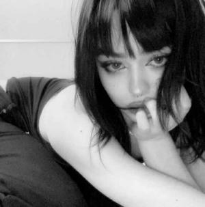 𝑻𝒉𝒆 𝑵𝒂𝒓𝒓𝒂𝒕𝒐𝒓 𝑪𝒐  logo