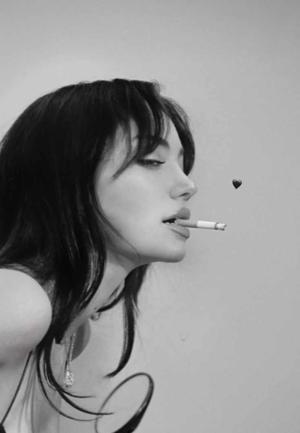 𝑻𝒉𝒆 𝑵𝒂𝒓𝒓𝒂𝒕𝒐𝒓 𝑪𝒐  logo