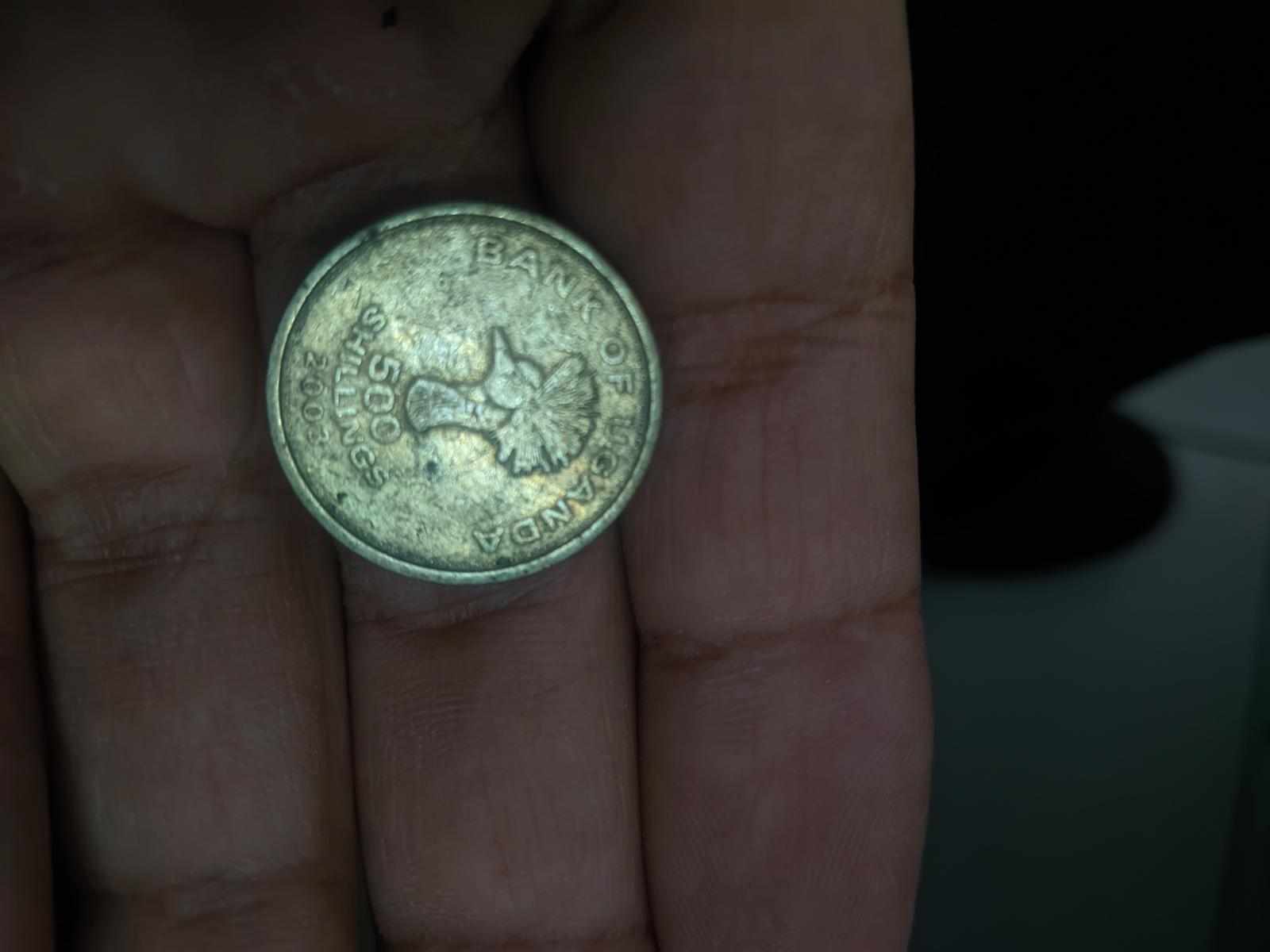 I should talk to other people at the organisation if i dont have much to do