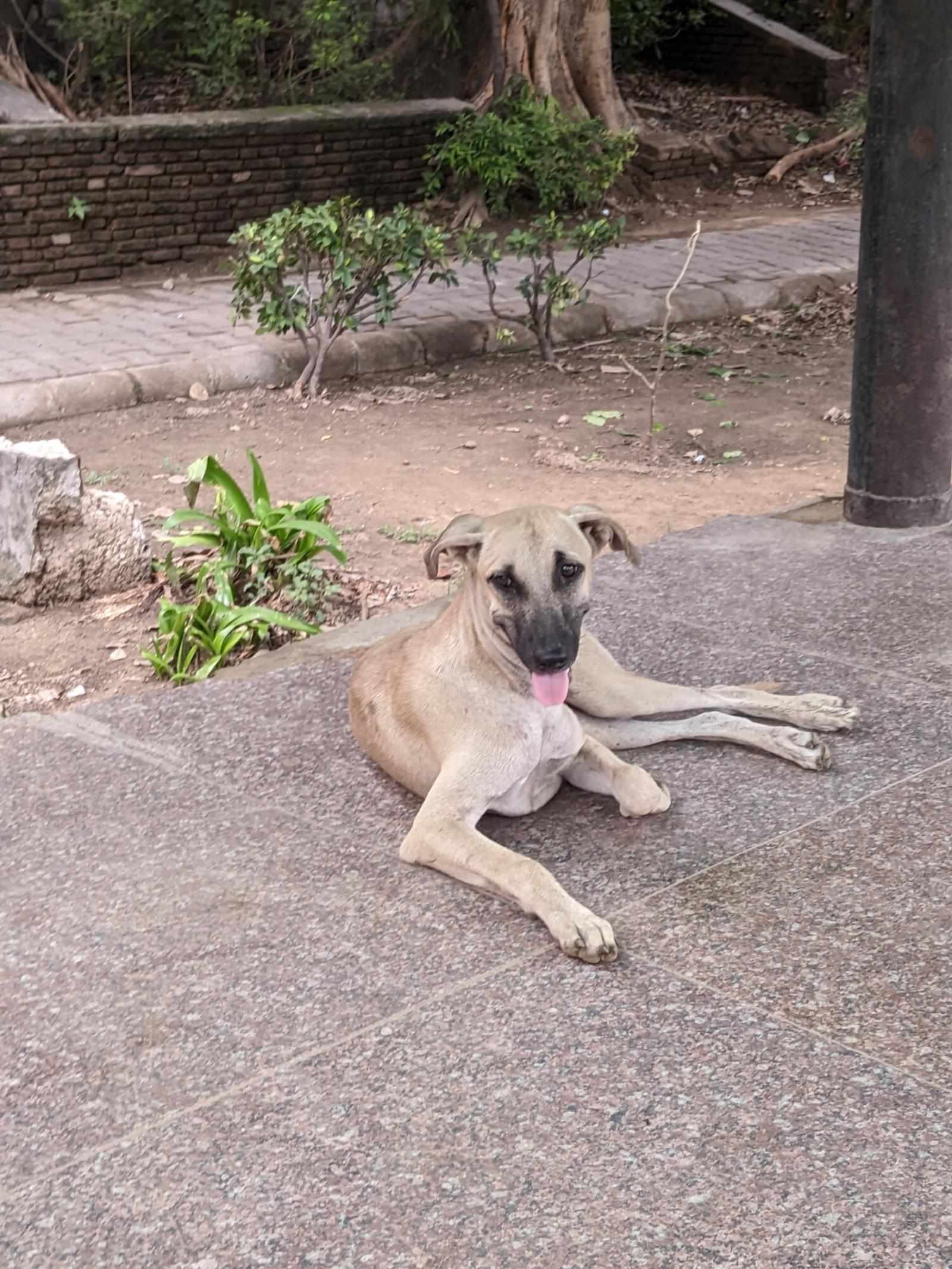 The contact points are open now