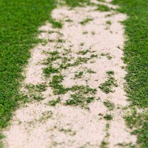 Smart Ways To Find Reliable Silica Sand