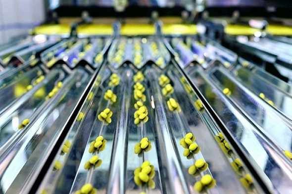 How Contract Packaging Companies in Florida Help Brands Scale Faster