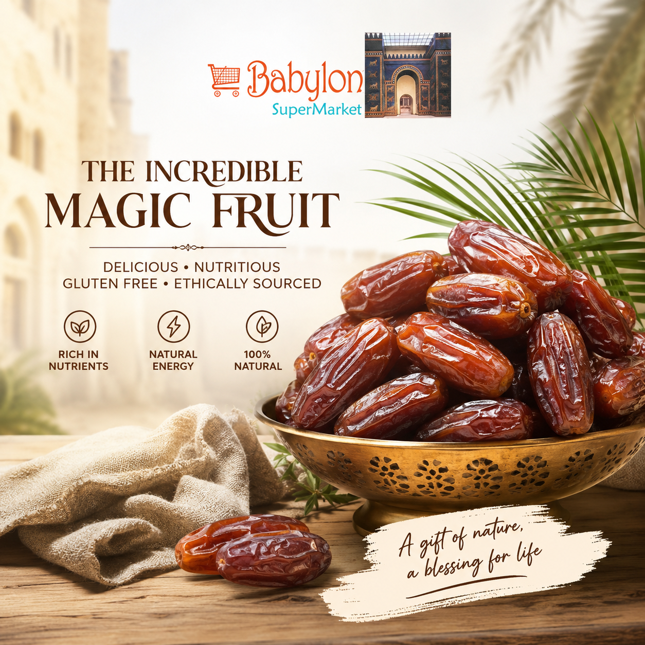 Buy Medjool Dates in Glasgow Supermarket – Everything You Should Know About This Natural Superfood