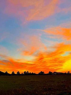 Chapter 1 : (male pov)