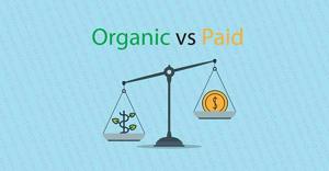 Organic Growth vs. Paid Ads: SEO vs. PPC for Your Website