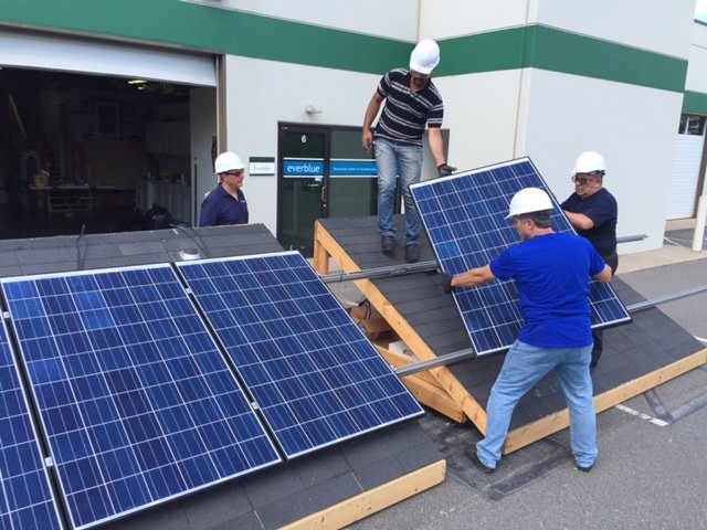 Commercial-Scale Solar Panel System in Action