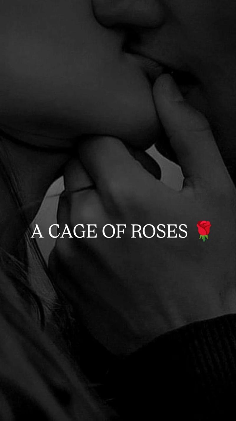 A CAGE OF ROSES 🌹