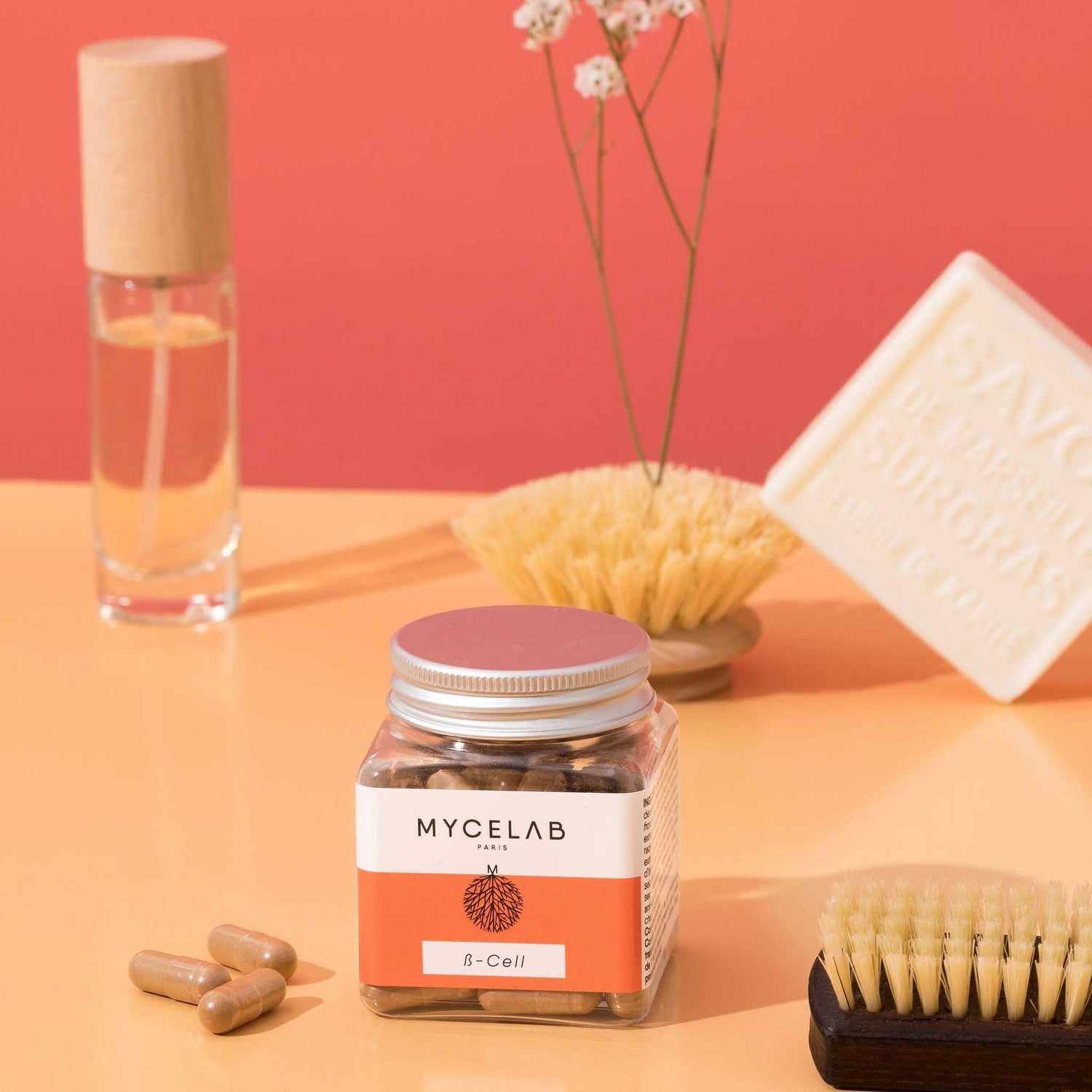 Collections – MYCELAB