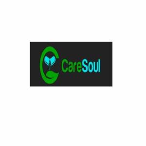 CareSoul logo