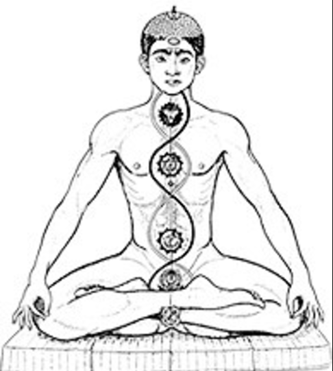 Discover the Perfect Yoga Class Close to Home