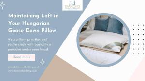 Maintaining Loft in Your Hungarian Goose Down Pillow