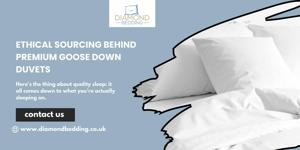 Ethical Sourcing Behind Premium Goose Down Duvets