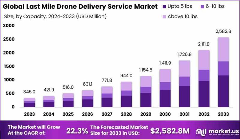 "Fast, Fresh, and Flying: The Future of Last-Mile Drone Delivery"