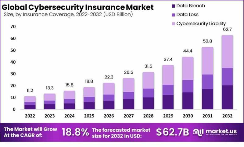 Insuring the Unseen: The Growth of Cybersecurity Insurance