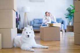 Tips For Moving With Pets
