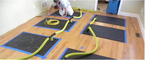 Why Hiring a Mould Removal Company Is Safer Than DIY Cleaning