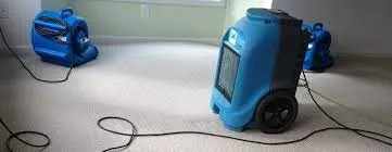 Flood Damage Carpet Drying: 24-Hour Action Plan