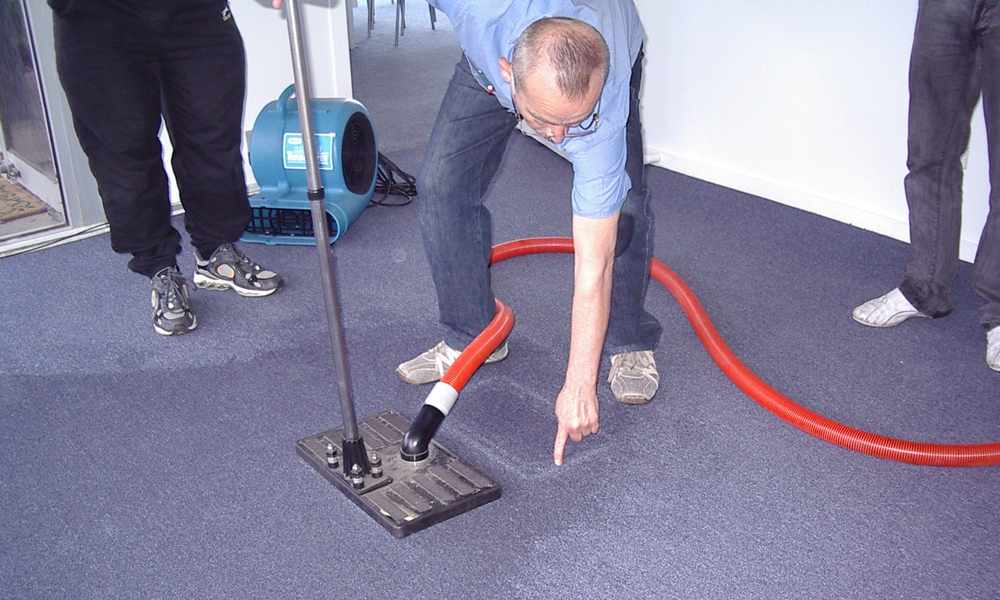 Why Water Damage Carpet Drying Helps Prevent The Growth Of Molds
