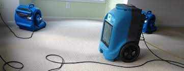 How Flood Damage Drying Helps Protect Your Property
