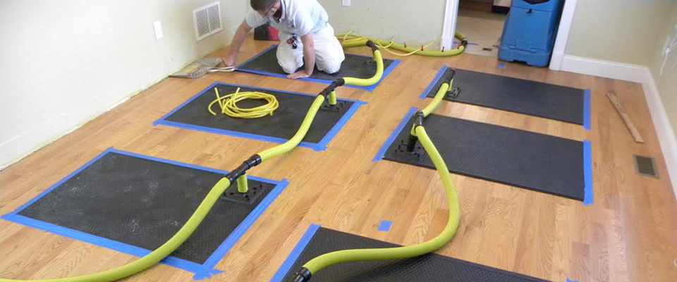 Why Choose Flood Damaged Carpet Cleaning After Flood