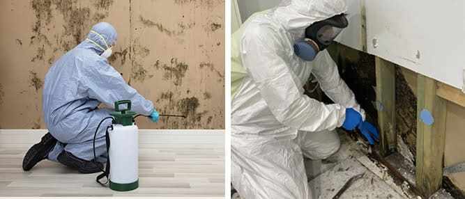 What Equipment Does a Professional Mould Removal Company Use?