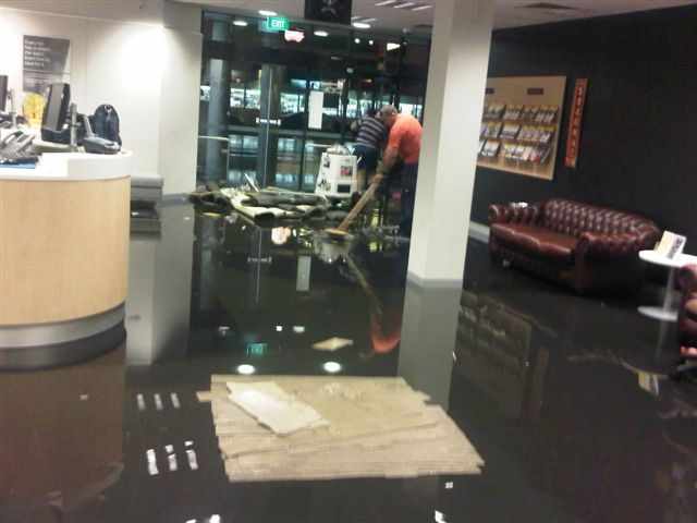 Emergency Carpet Drying for Residential vs Commercial Spaces
