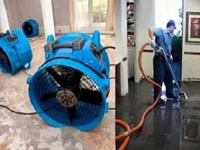 Best Drying Methods for a Water Leak Carpet Wet Carpet