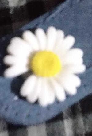 Rose logo