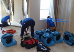 Don’t Wait for Disaster: Choosing a Reliable Water Damage Company in Calgary