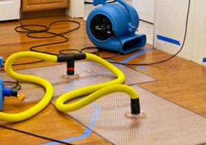 Top Signs You Need a Water Damage Inspection in Calgary Before Mold Spreads