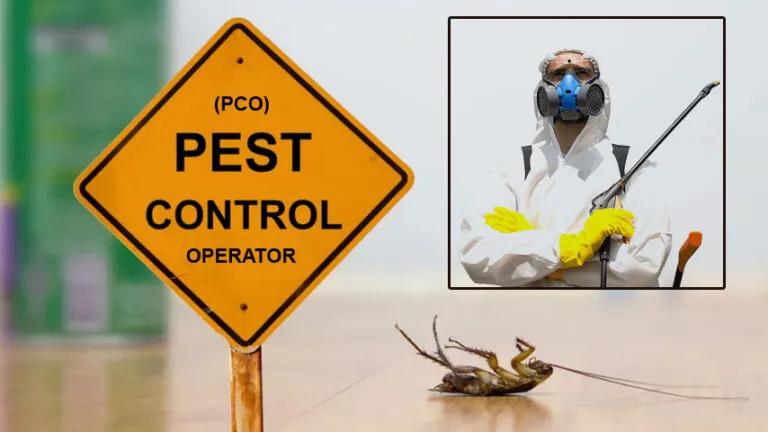 Best Pest Control in Dubai | Safe Pest Control for Villas and Office