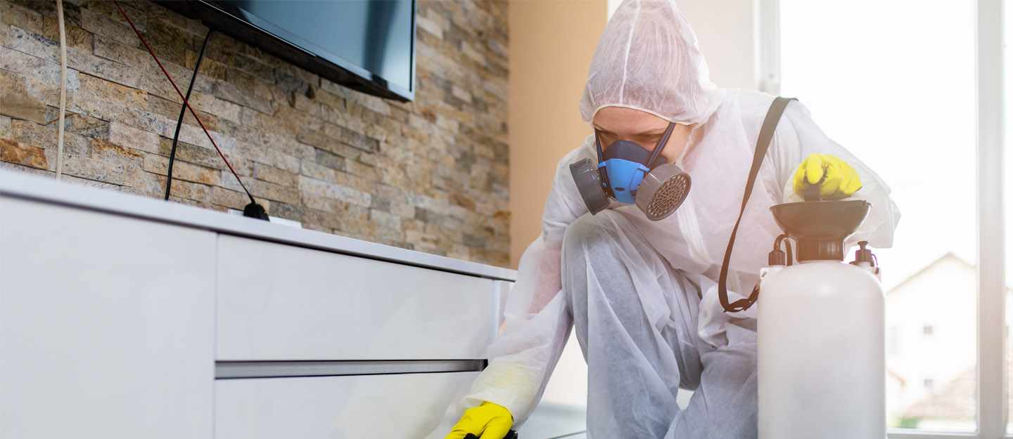 Pest Control Dubai Best and Professional Team and Company Instant Pest Control