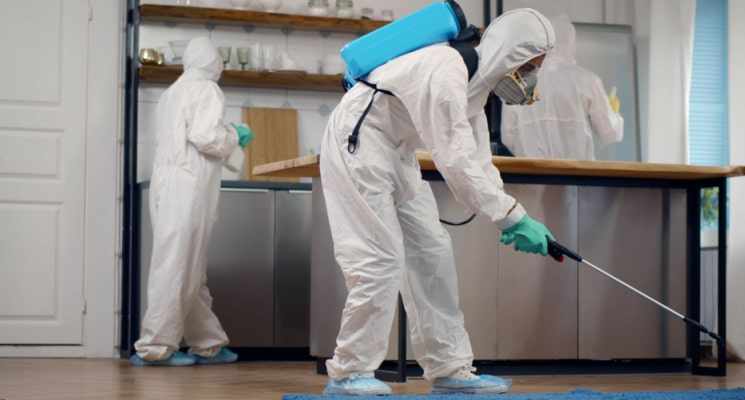 Commercial Residential and Industrial Pest Control on Monthly Base Available