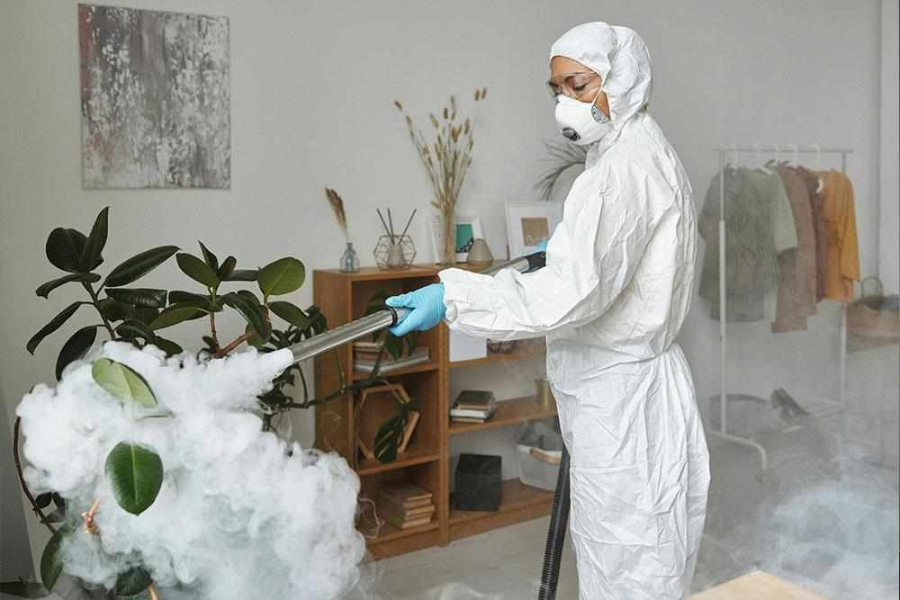 How to Remove Permanent Pest Control Like Bed Bugs, Cockroaches & Ants in Dubai
