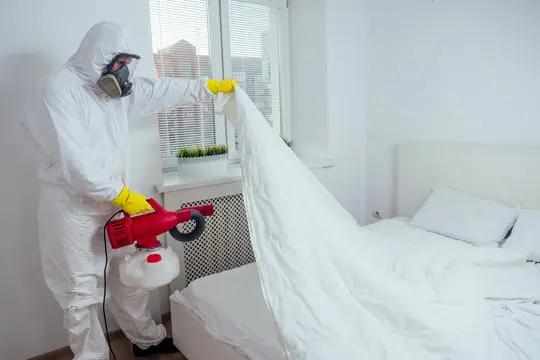 How to Control Bedbugs Deeply and Completely in Dubai