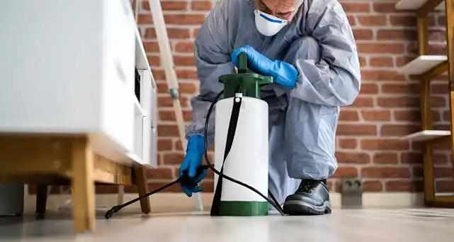 Monthly Pest Control Near Me in Dubai