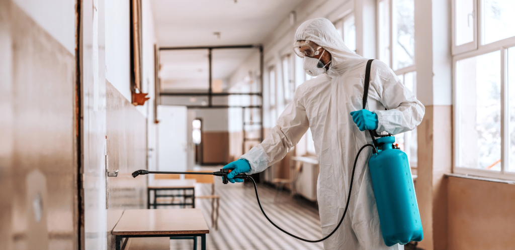Pest Control  The Complete Guide to Keeping Your Home and Business Pest-Free