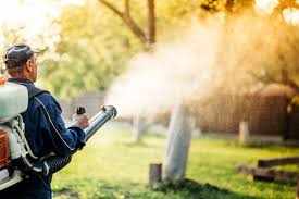 Top 10 Pest Control Companies in Dubai (2026 Guide)